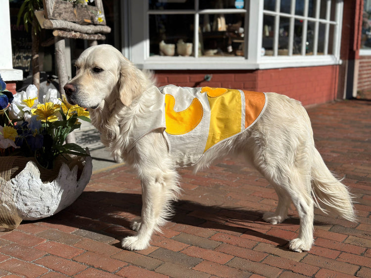 Small Sail Coats