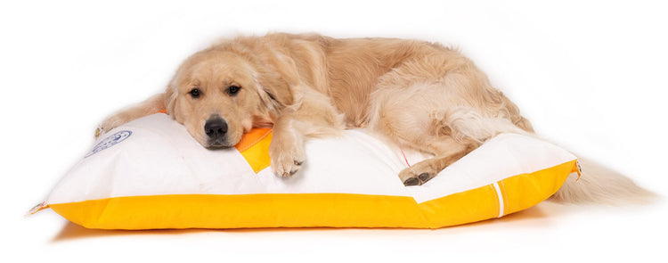 Large Sail Beds