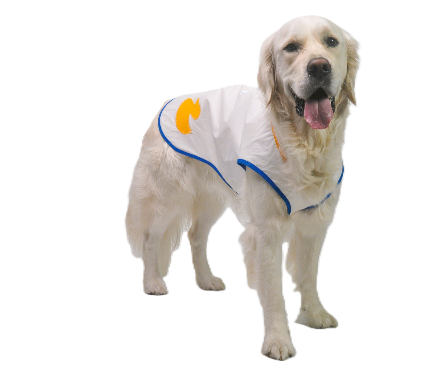 Duck Parade Sail Coat