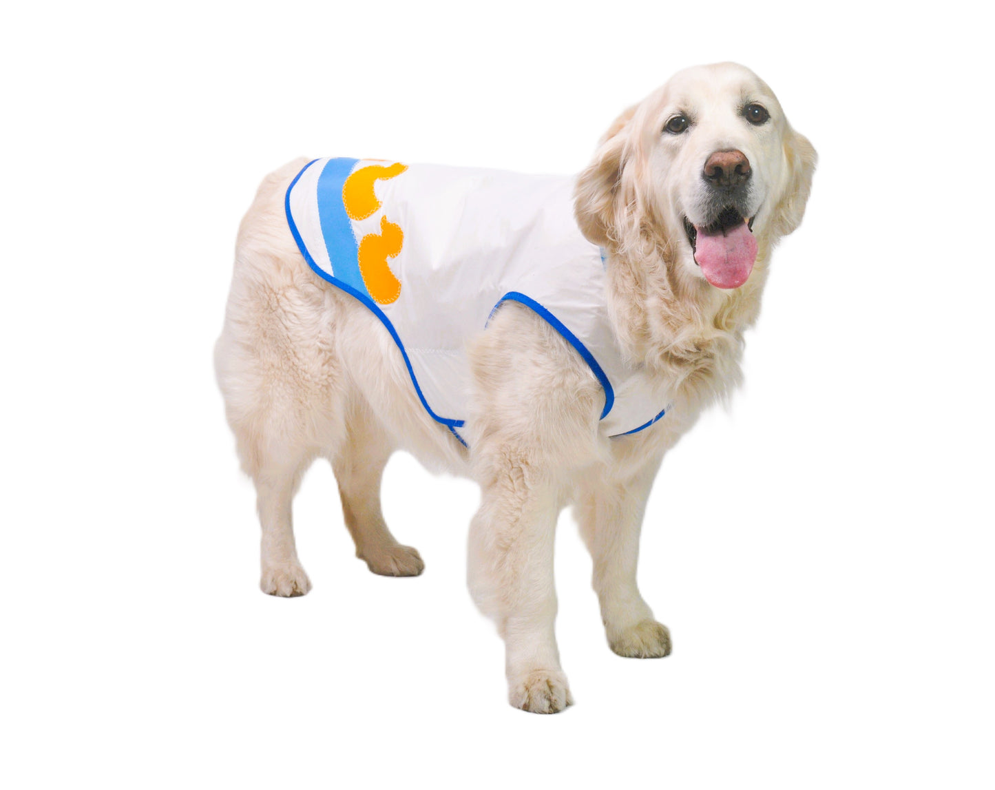 Splashy Duck Sail Coat