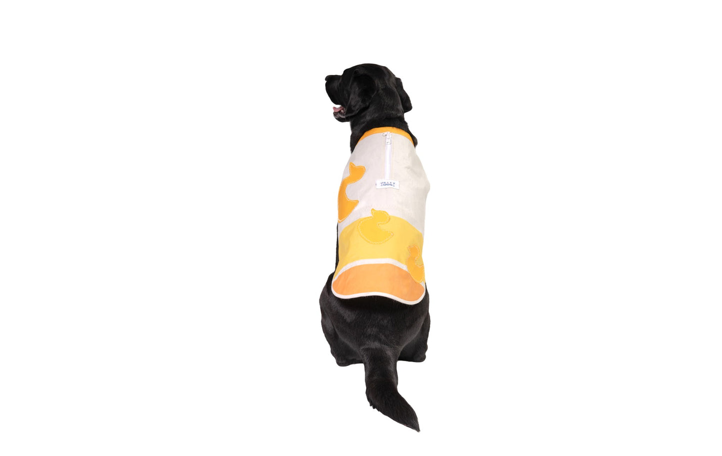 Rubber Ducky Sail Coat