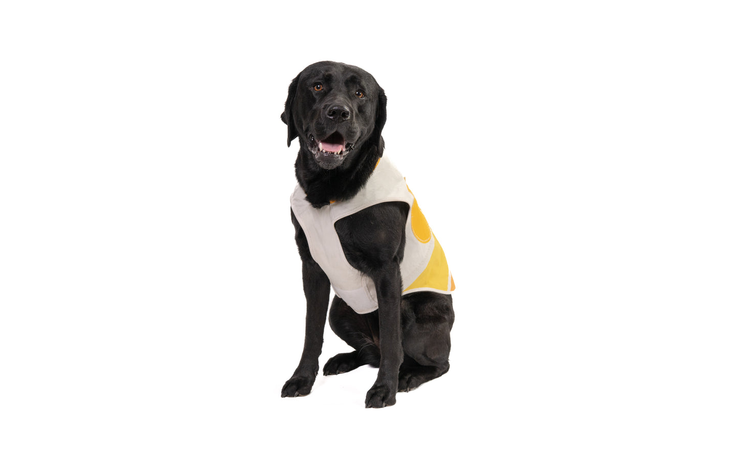 Rubber Ducky Sail Coat
