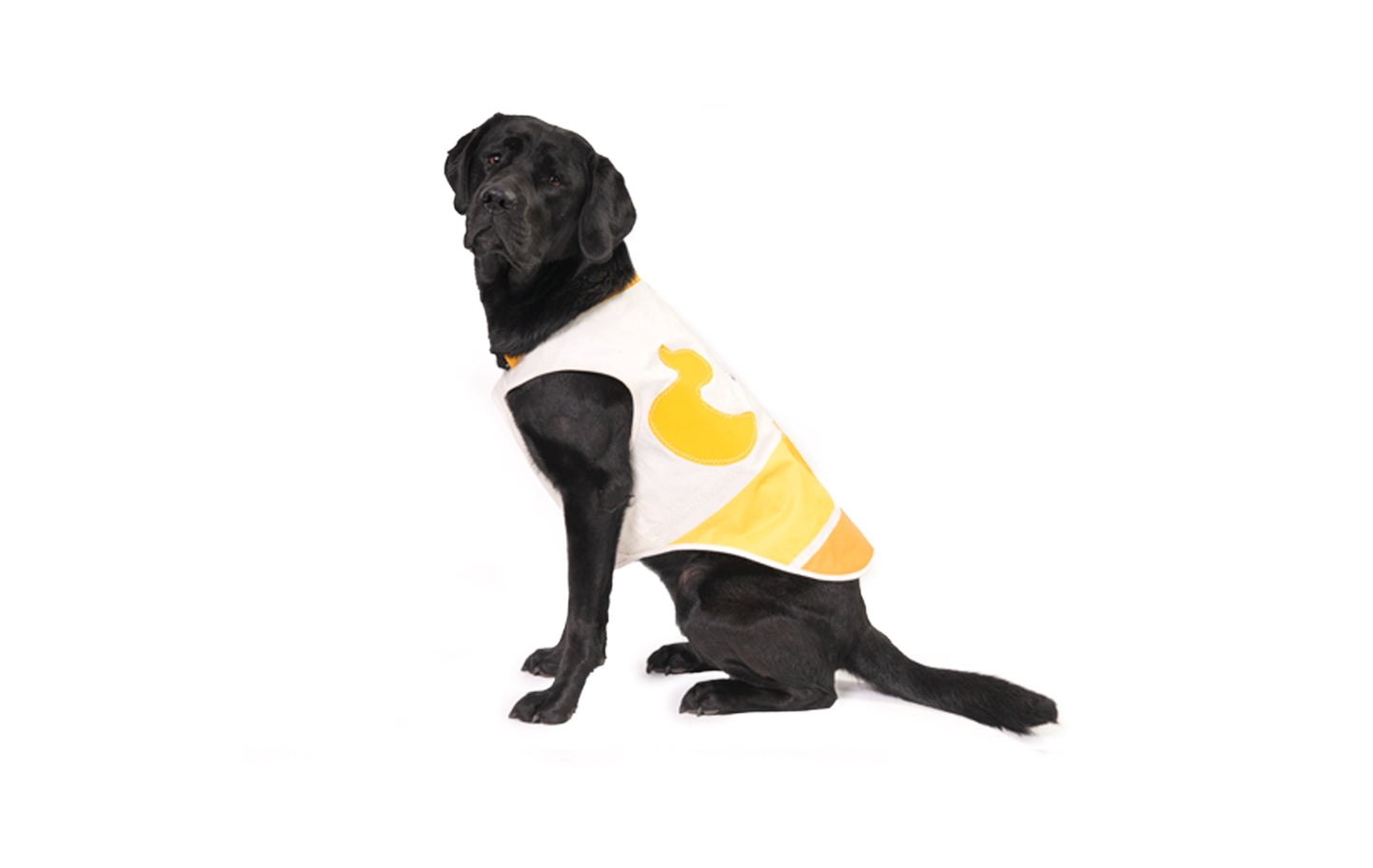 Rubber Ducky Sail Coat